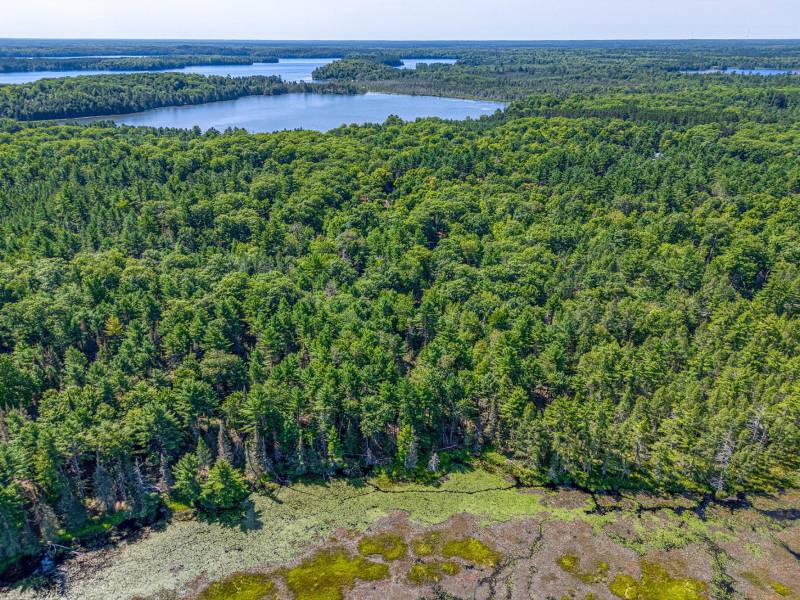 4285 Camp Two Rd, , Star Lake,  WI 54561 USA