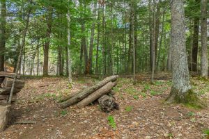 5578 Dr Kate Trl, , Boulder Junction,  WI 54512 USA