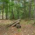 5578 Dr Kate Trl, , Boulder Junction,  WI 54512 USA