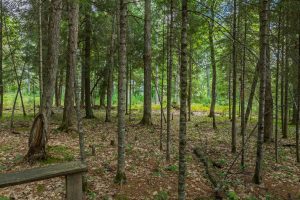 5578 Dr Kate Trl, , Boulder Junction,  WI 54512 USA