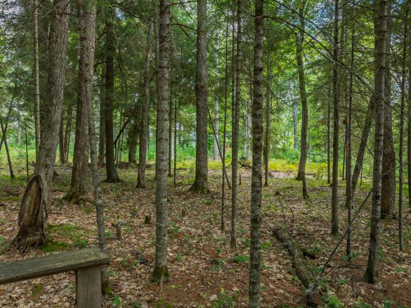 5578 Dr Kate Trl, , Boulder Junction,  WI 54512 USA