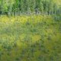 5578 Dr Kate Trl, , Boulder Junction,  WI 54512 USA