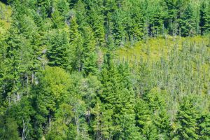 5578 Dr Kate Trl, , Boulder Junction,  WI 54512 USA
