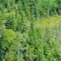 5578 Dr Kate Trl, , Boulder Junction,  WI 54512 USA