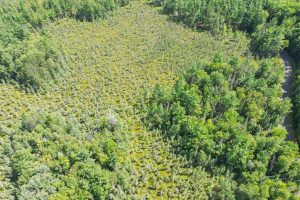 5578 Dr Kate Trl, , Boulder Junction,  WI 54512 USA