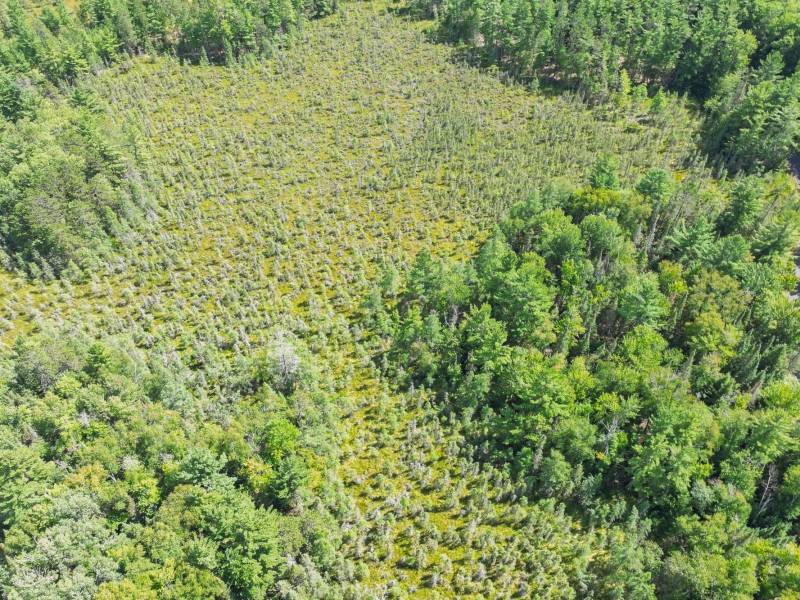 5578 Dr Kate Trl, , Boulder Junction,  WI 54512 USA