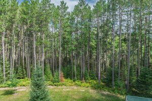 5634 Katie Ln, , Conover,  WI 54519 USA