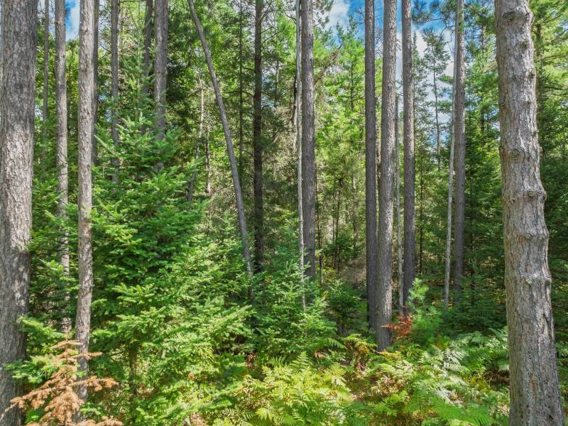 5634 Katie Ln, , Conover,  WI 54519 USA