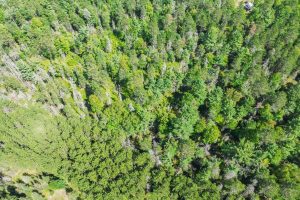 5634 Katie Ln, , Conover,  WI 54519 USA