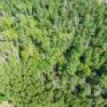 5634 Katie Ln, , Conover,  WI 54519 USA