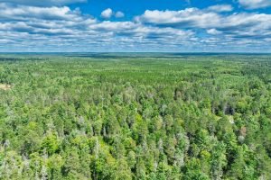 5634 Katie Ln, , Conover,  WI 54519 USA