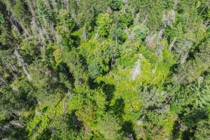5634 Katie Ln, , Conover,  WI 54519 USA