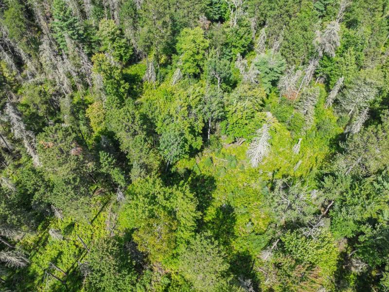 5634 Katie Ln, , Conover,  WI 54519 USA