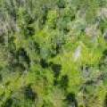 5634 Katie Ln, , Conover,  WI 54519 USA