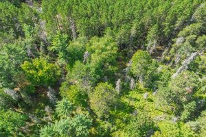 5634 Katie Ln, , Conover,  WI 54519 USA