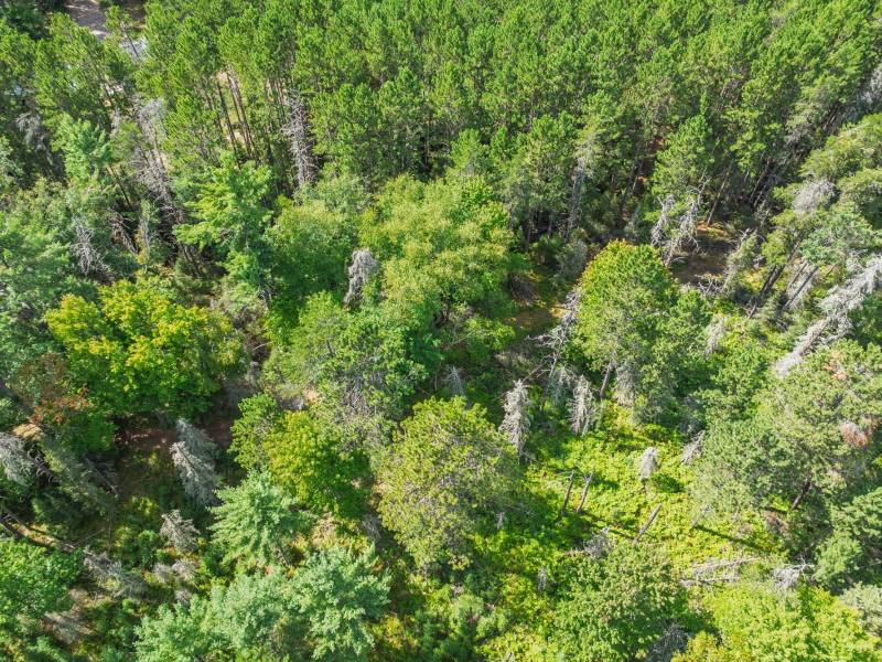 5634 Katie Ln, , Conover,  WI 54519 USA