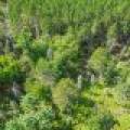5634 Katie Ln, , Conover,  WI 54519 USA