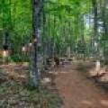 5691 Anton Trl, , Phelps,  WI 54554 USA