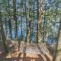 7130 Timber Ln, , Rhinelander,  WI 54501 USA