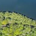 7130 Timber Ln, , Rhinelander,  WI 54501 USA
