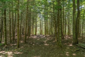 8680 Hoop Ln, , Lac du Flambeau,  WI 54538 USA