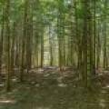 8680 Hoop Ln, , Lac du Flambeau,  WI 54538 USA