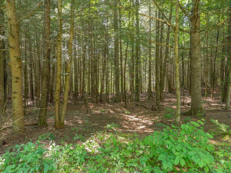 8680 Hoop Ln, , Lac du Flambeau,  WI 54538 USA