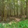 8680 Hoop Ln, , Lac du Flambeau,  WI 54538 USA