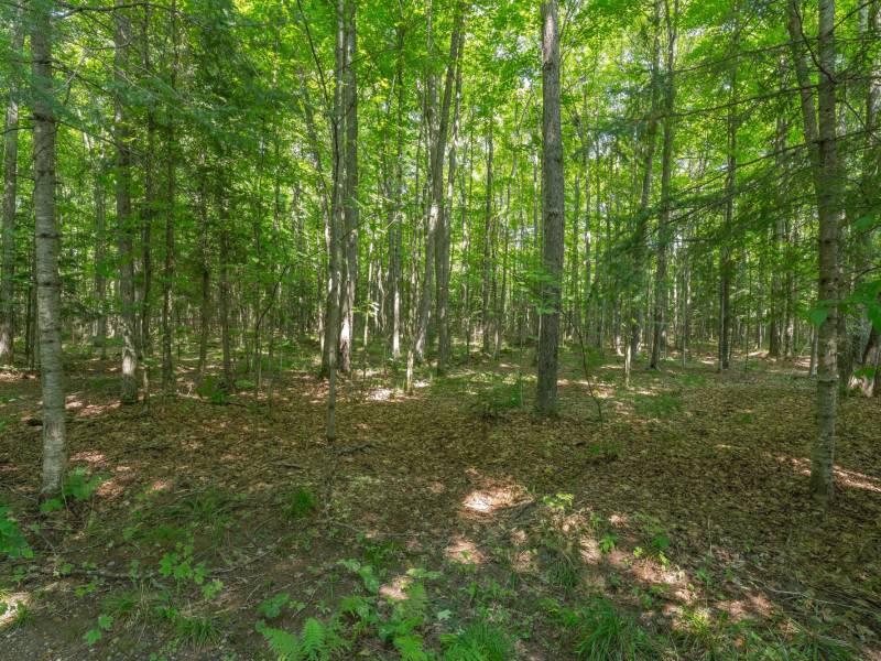 8680 Hoop Ln, , Lac du Flambeau,  WI 54538 USA