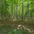 8680 Hoop Ln, , Lac du Flambeau,  WI 54538 USA