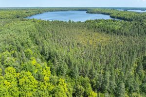 8680 Hoop Ln, , Lac du Flambeau,  WI 54538 USA