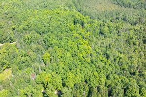8680 Hoop Ln, , Lac du Flambeau,  WI 54538 USA