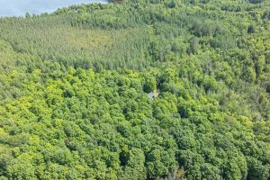 8680 Hoop Ln, , Lac du Flambeau,  WI 54538 USA