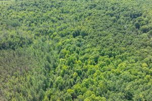 8680 Hoop Ln, , Lac du Flambeau,  WI 54538 USA