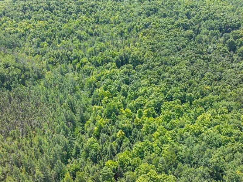 8680 Hoop Ln, , Lac du Flambeau,  WI 54538 USA
