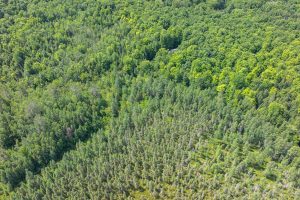 8680 Hoop Ln, , Lac du Flambeau,  WI 54538 USA