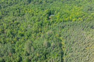 8680 Hoop Ln, , Lac du Flambeau,  WI 54538 USA