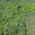 8680 Hoop Ln, , Lac du Flambeau,  WI 54538 USA