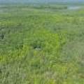 8680 Hoop Ln, , Lac du Flambeau,  WI 54538 USA