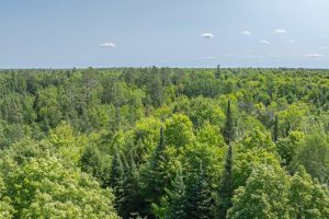 8680 Hoop Ln, , Lac du Flambeau,  WI 54538 USA