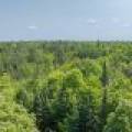 8680 Hoop Ln, , Lac du Flambeau,  WI 54538 USA