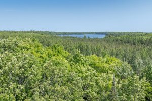8680 Hoop Ln, , Lac du Flambeau,  WI 54538 USA