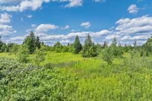 East20a Davies Rd, , Phelps,  WI 54554 USA
