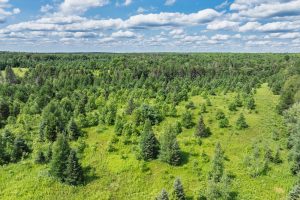East20a Davies Rd, , Phelps,  WI 54554 USA