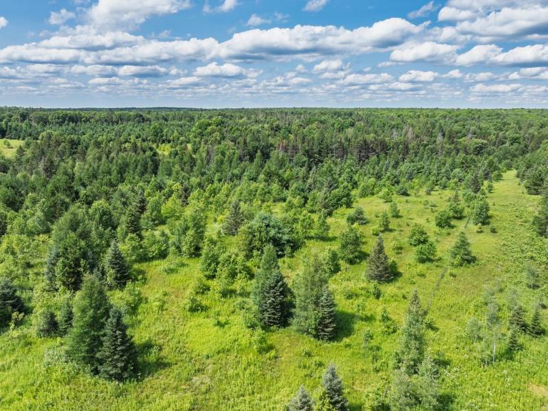 East20a Davies Rd, , Phelps,  WI 54554 USA