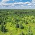 East20a Davies Rd, , Phelps,  WI 54554 USA