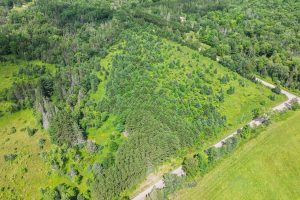 East20a Davies Rd, , Phelps,  WI 54554 USA