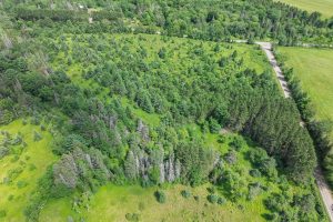 East20a Davies Rd, , Phelps,  WI 54554 USA