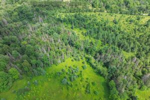 East20a Davies Rd, , Phelps,  WI 54554 USA