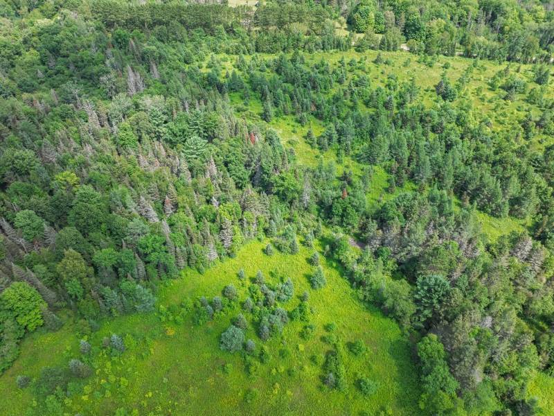 East20a Davies Rd, , Phelps,  WI 54554 USA
